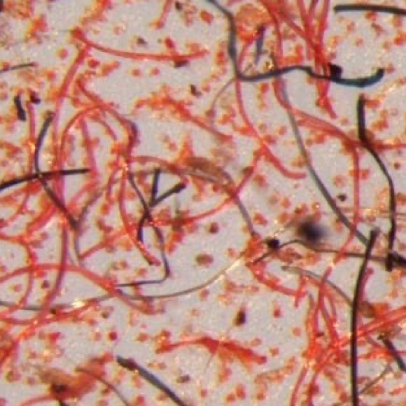 How circular is Elastane/Spandex/Lycra? - Picture 4 of 8